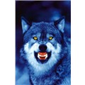 Wolf_Aiko04