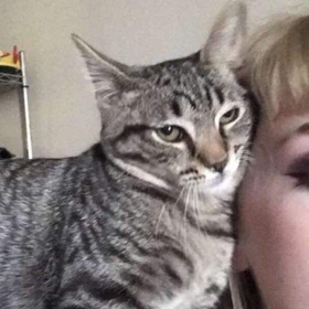 AtomicHoverCat