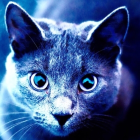 iBluestar