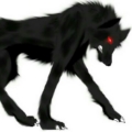 DarkWolfie