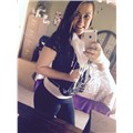 Briraee33