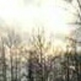 kimisha1234
