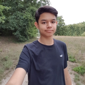 Treesen