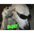 JPup82