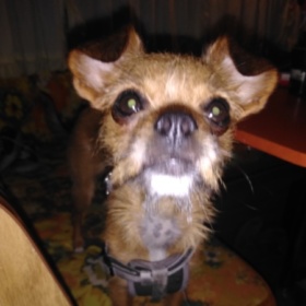 bablovmach74
