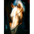 horsegirl13
