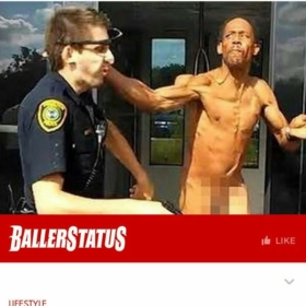tesela