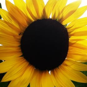 shshdhdb55221