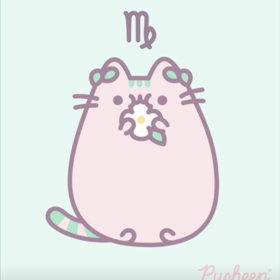 pink_kitten