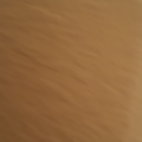 nycfckevin
