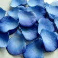 ElegantPetals