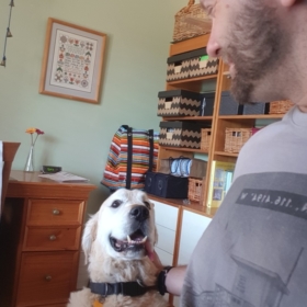 trynot2bark