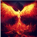 FlyingPhoenixRising