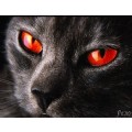 evilred23