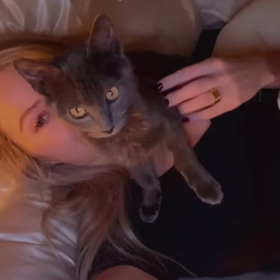 Catlvr66