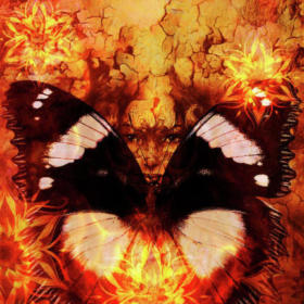 PsycheButterflyGirl