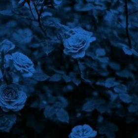 moonlight02
