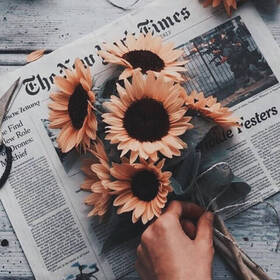 _xhoxo