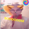 ibodi