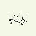 sylvie_lois