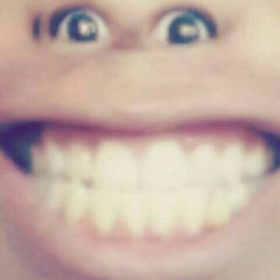 andrewbros