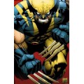 TheWolverine