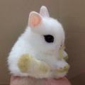 iluvbunnies