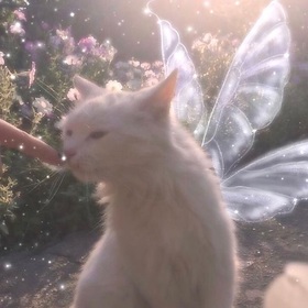 faeriicloudss