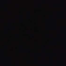 Alex_240808