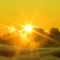 yellowph
