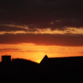 SunsetOrangeEagle20