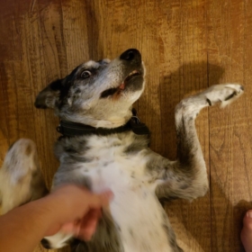 ThatSoftwareEngineer