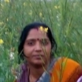 roselady