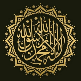 shaheenamir