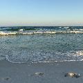 beach456