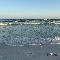 beach456