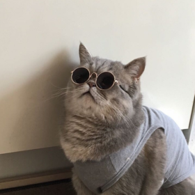 pamelabaxter01