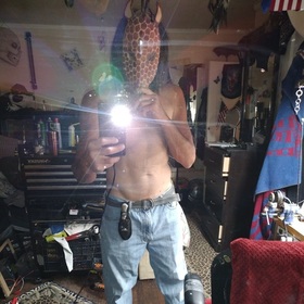 Bobkat
