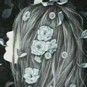 shash_3