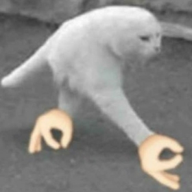 SirCumcise