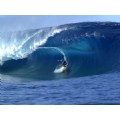surfsup76