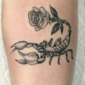 deadlyrose