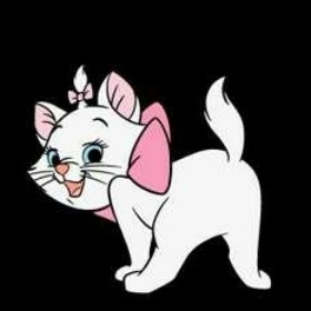 kitty_alyssa