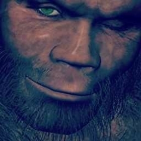 Splungulus