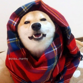 sehjada
