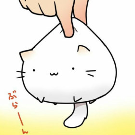 himalayansaltchan