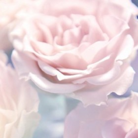 Divineelove