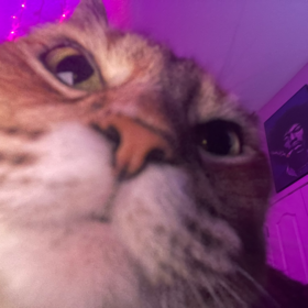locakatz