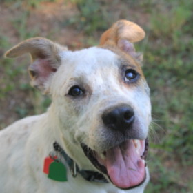anawkwardguy
