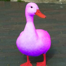 PurpleDucks23